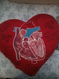 The Heart Pillow She Got When She Had Open Heart Surgery Heart Surgery Open Heart Surgery Heart Surgery Gift Ideas
