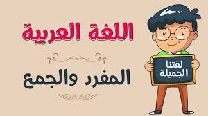 اللغة العربية المفرد والجمع Youtube