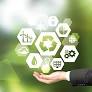 German Businesses React to New Climate Protection Support Platform and Stricter Environmental Criminal Law