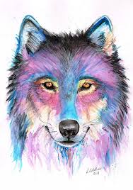 Colour Wolf 2 Wolf Painting Wolf Art Watercolor Wolf