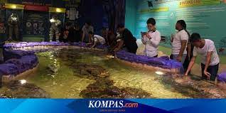 We did not find results for: Daftar 22 Trans Studio Di Indonesia Yang Tutup Guna Cegah Corona
