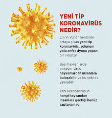 Selami Haktan On Twitter Koronavirus Hakkinda Bilinmesi Gerekenler Yeni Tip Koronavirus Nedir Korunmak Icin Neler Yapilmali Nasil Bulasir Belirtileri Nelerdir Belirtileri Varsa Ne Yapilmali Tedavi Icin