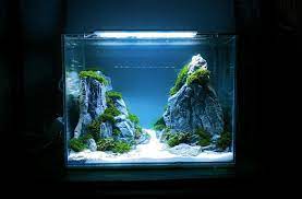 Minimalis Aquascape By Farkhi Darul Aquascape Design Aquascape Aquarium Aquascape