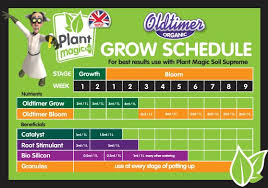 Plant Magic Old Timer Feeding Schedule