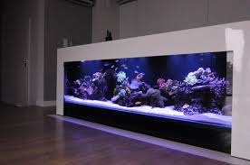 Click This Image To Show The Full Size Version Saltwater Aquarium Fish Tank Wall Aquarium