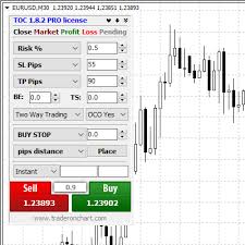 Trader On Chart 182 Panel Fxmagnetic 2 Best Forex