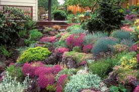 These easy rock paiting ideas here that come with sayings. A Pretty Rock Garden Idea With Colorful Alpine Plants