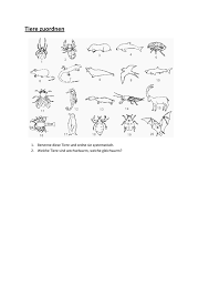 Quiz könnt ihr die tierspuren lesen? Benenne Diese Tiere Und Ordne Sie Systematisch