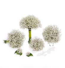 Baby S Breath Wedding Flowers Express Wedding Flowers Diy Wedding Flowers Flowers