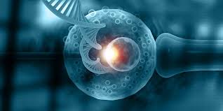 Este acceptat la nivel global ca această tară are cel mai potrivit cadru legal pentru reproducerea asistată. Inseminarea ArtificialÄ Vs Fiv Care Are Cele Mai Bune Rezultate