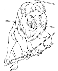Search through 623,989 free printable colorings at getcolorings. Pin On Animal Coloring Pages