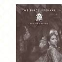 The Birds Eternal (@thebirdseternal) • Instagram photos and videos