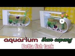 Aquariums Aquarium Ikan Cupang Ikan Kecil Betta Fish Aquarium Small Fish Betta Fish Cupang Betta