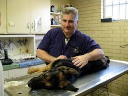 Cane river kitchenware, natchitoches, natchitoches parish, louisiana, jungtinės valstijos — vieta žemėlapyje, telefonas, darbo valandos, atsiliepimai. Cane River Veterinary Clinic Natchitoches Trusted Pet Care