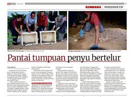 Pusat konservasi dan penerangan penyu. Sayangi Pusat Konservasi Dan Penerangan Penyu Melaka Facebook