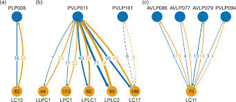 Elizabeth ii (elizabeth alexandra mary; A Connectome And Analysis Of The Adult Drosophila Central Brain Elife