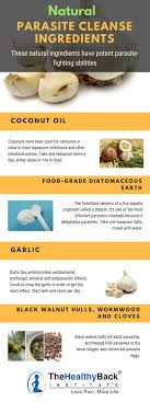 Can you get pinworms without being around an infected person? 41 Best Home Remedies For Pinworms Ideas Home Remedies For Pinworms Remedies Home Remedies