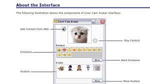 While in real life he is a human, to other participants of the video. Viral I M Not A Cat Filter Is Decades Old Software Bbc News