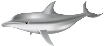 Dolphin Png Transparent Clip Art Image Gallery Yopriceville High Quality Images And Transparent Png Free Clipart Art Images Clip Art Free Clip Art