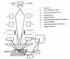 Service manuals, schematics, eproms for electrical technicians. Draw The Schematic Diagram Of Sem And Explain Its Construction And Working