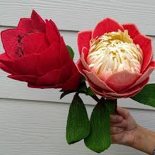 Handmade Crepe Paper King Protea Horta