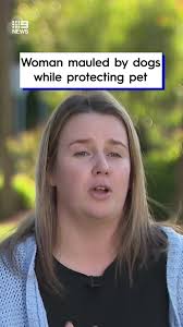 Indi the Jack Russell sadly passed away the next day. #dog #news #9News