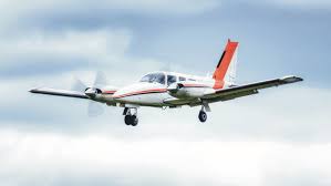 Image result for Piper