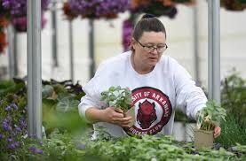 We did not find results for: Homebound Gardeners Reconnecting With The Natural World