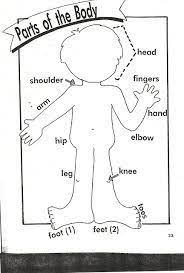 Resultado De Imagen Para Actividades De Saludos En Ingles Para Preescolar Partes Del Cuerpo En Ingles Ingles Para Preescolar Ingles Para Ninos