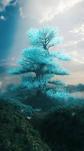 Enjoy and share your favorite beautiful hd wallpapers and background images. Free Download Peace Tree Wallpapers Top Peace Tree Backgrounds 2160x3840 For Your Desktop Mobile Tablet Explore 32 Peaceful Backgrounds Beautiful Peaceful Wallpaper Peaceful Nature Wallpaper Peaceful Scenery Wallpaper