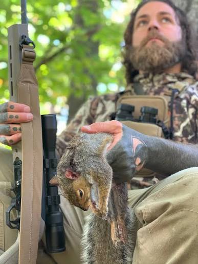 Squirrel: An Inroad to Hunting — WildFed