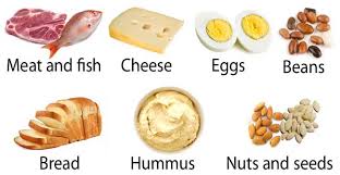 Image result for protein