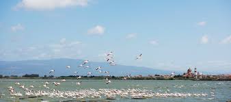 Scopri il Sinis - Aquae Sinis Albergo Diffuso - Cabras Oristano Sardegna
