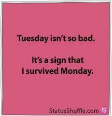Check spelling or type a new query. Quotes Funny Boyfriend Faces 33 Best Ideas Happy Tuesday Quotes Tuesday Quotes Funny Tuesday Quotes