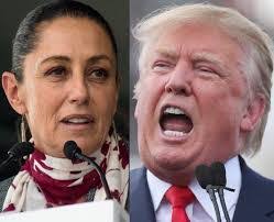 Toni Jacobsen's Instagram, Twitter & Facebook