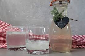Stark zuckerhaltige und verdünnte säfte aus dem handel sind nicht gerade gesund. Kalte Getranke Sirup Archive Keto Liebe Foodblog