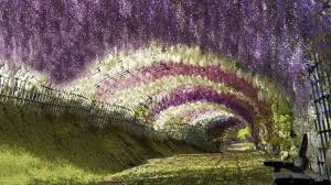 Image result for pictures gallery for amazing places of the world