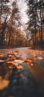 Best Fall Iphone 11 Wallpapers Hd 2020 Ilikewallpaper
