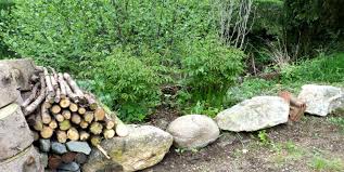 Wie Baue Ich Ein Biotop Gartenbob De Der Garten Ratgeber In 2020 Naturgarten Garten Feuchtbiotop