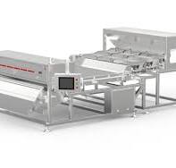 Cashew Nut Optical Sorting Machine with Deep Learning and ...