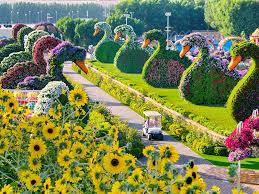 Miracle garden will open in two phases. Dubai Miracle Garden Opening Qut Blog