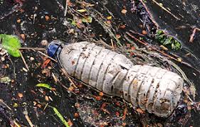 Datos Sobre La Contaminacion Que Causa El Plastico Que Quizas No Sabias Ambientum Portal Lider Medioambiente