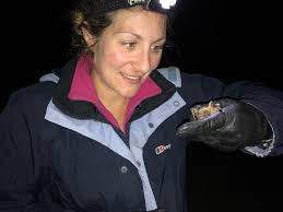 DR Kim Wallis- Conservation Advisor and Bat Woman!