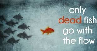 Only Dead Fish Go With The Flow Flow Quotes Dead Fish Fishing Quotes