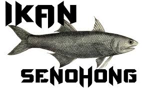 Nama srawak berasal daripada nama batang sarawak atau sungai sarawak. My Pancing Posts Facebook