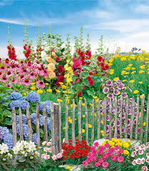 Weitere ideen zu garten, pflanzen, garten pflanzen. Mein Schoner Garten Staudenbeet Bauerngarten Baldur Garten