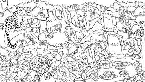 If we all work together, we can continue to share the earth. Rainforest Coloring Pages Endangered Species Coloring Pages For Free 1 Coloring Pages For Kids