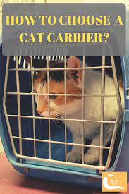 We Know That Cat Carriers Are Important But With So Many Types And Models Choosing The Right One Could Be Hard Click To Find Out Cat Carrier Cat Advice Cats