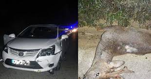 Accidentes que ocurrieron en los juegos olimpicos : 3fpdftjs0l9qlm