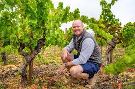 Image result for Vigna kirkii